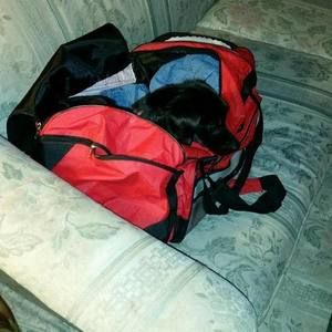 Meet your Posher, Donna